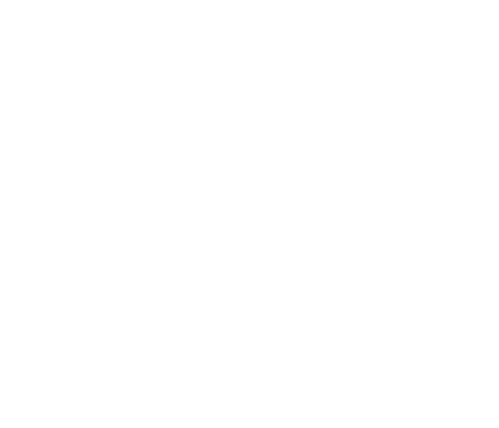 Shape Decoration